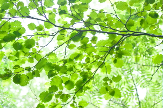 �L����В��M���|
