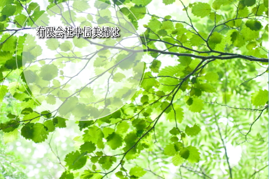 �L����В��M���|